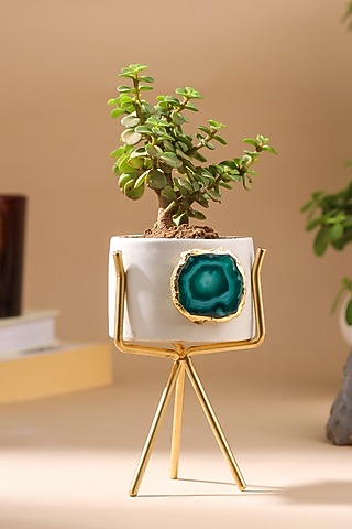 Green Agate Planter by Gemtherapy