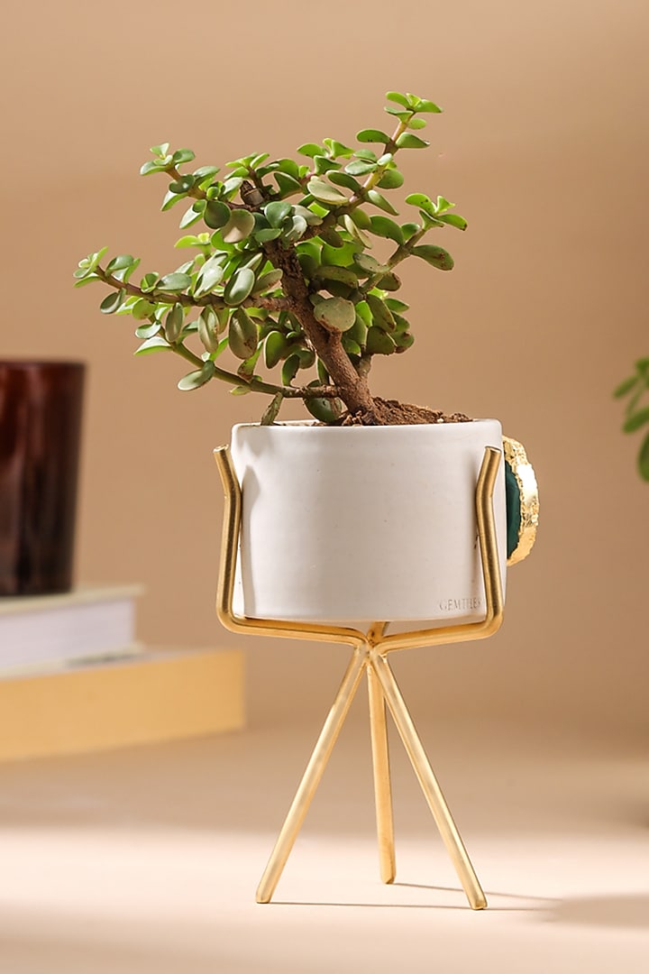Green Agate Planter by Gemtherapy at Pernia's Pop Up Shop