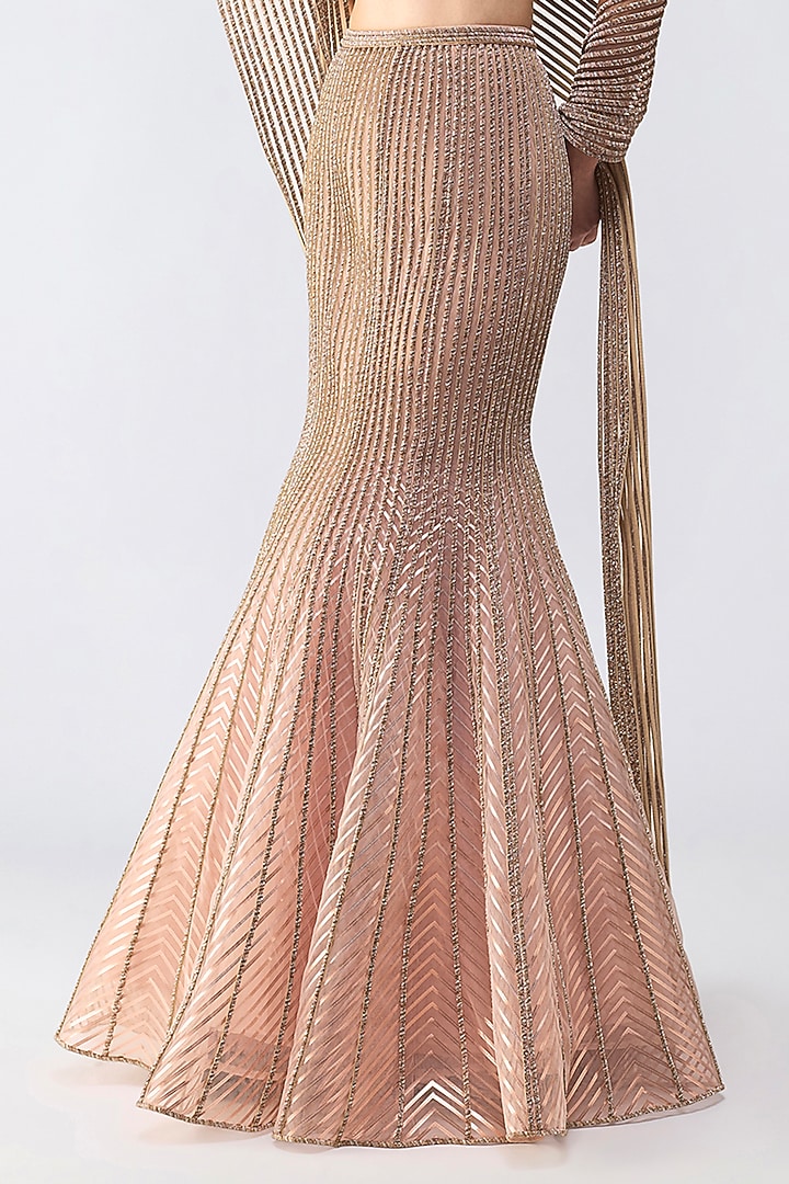 Rose Pink Butterfly Net Moulded Fish-Tail Skirt Set by Amit Aggarwal at Pernia's Pop Up Shop