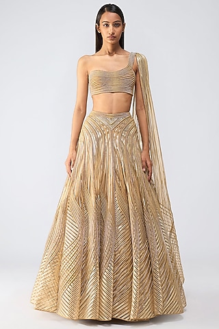 Sand Beige Tulle Metallic Crystalvein Skirt Set by Amit Aggarwal