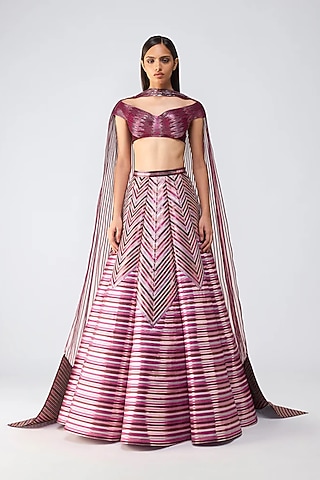 Garnet Butterfly Net & Dupion Skirt Set by Amit Aggarwal
