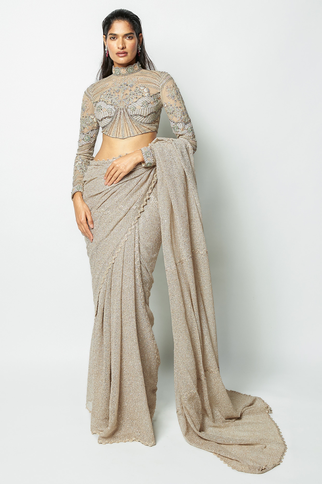 Aisha Rao Champagne Mesh Applique Embellished Saree Set