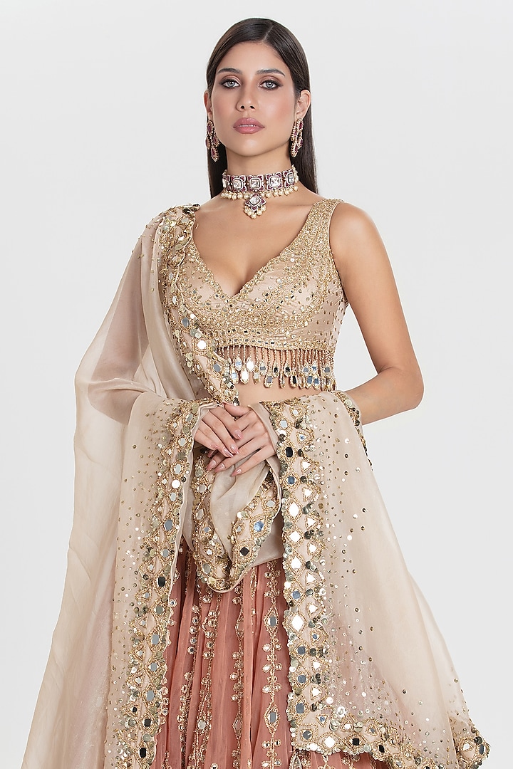 Blush Peach Net Sequins Embroidered Bridal Lehenga Set by Abhinav Mishra at Pernia's Pop Up Shop