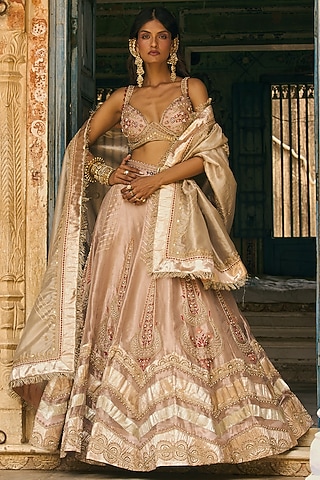 Rose Gold Pure Zari Tissue Kalidar Lehenga Set by Aditi Gupta