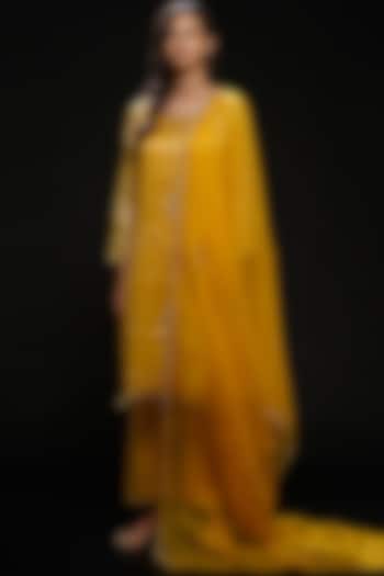 Yellow Handwoven Silk Embroidered Kurta Set by Aditya Sikand