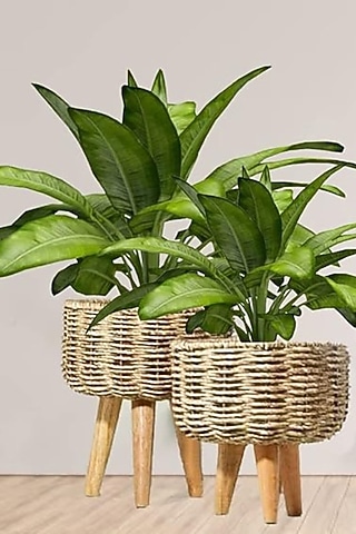 Brown Jute Planters (Set of 2) by The Advitya