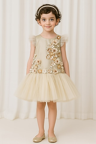 Beige Shimmer Polyester & Tulle Sequin Embroidered For Girls by A Little Fable
