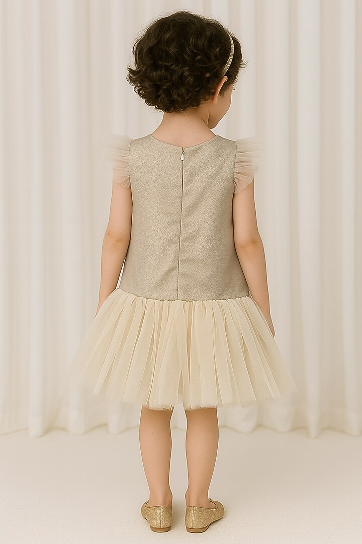 Beige Shimmer Polyester & Tulle Sequin Embroidered For Girls by A Little Fable at Pernia's Pop Up Shop