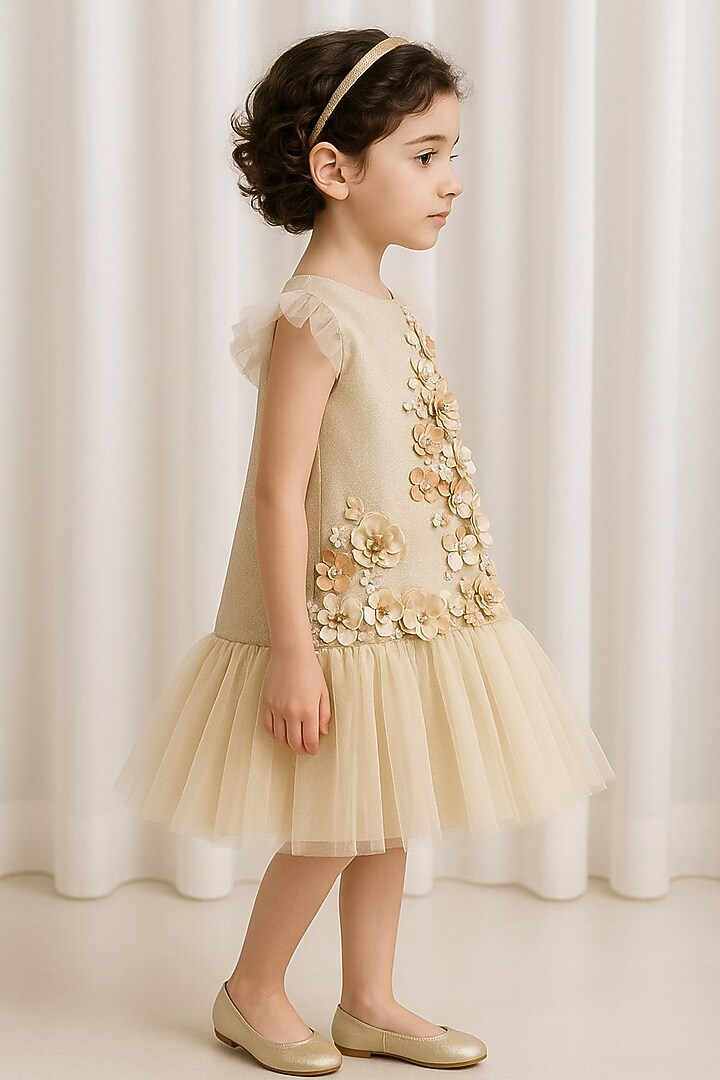 Beige Shimmer Polyester & Tulle Sequin Embroidered For Girls by A Little Fable at Pernia's Pop Up Shop
