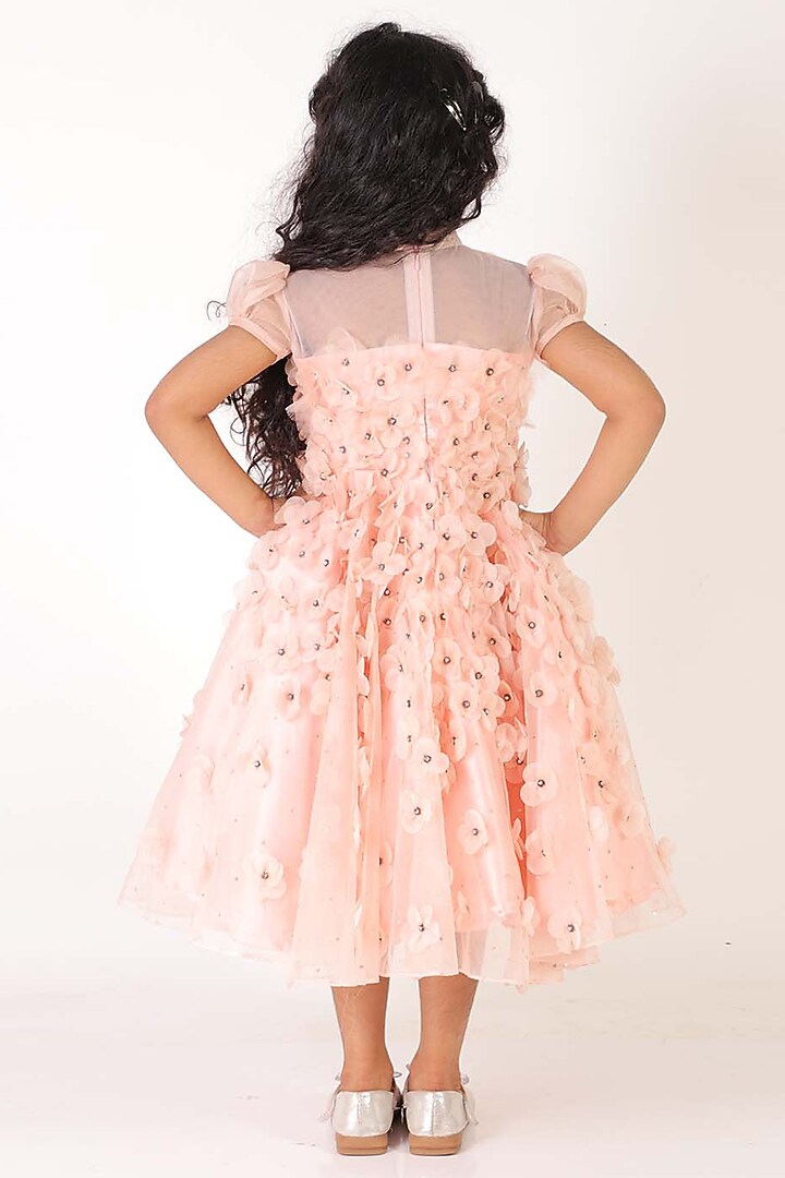 Pink Organza & Satin Embroidered Flared Dress For Girls by Alyaansh Couture at Pernia's Pop Up Shop