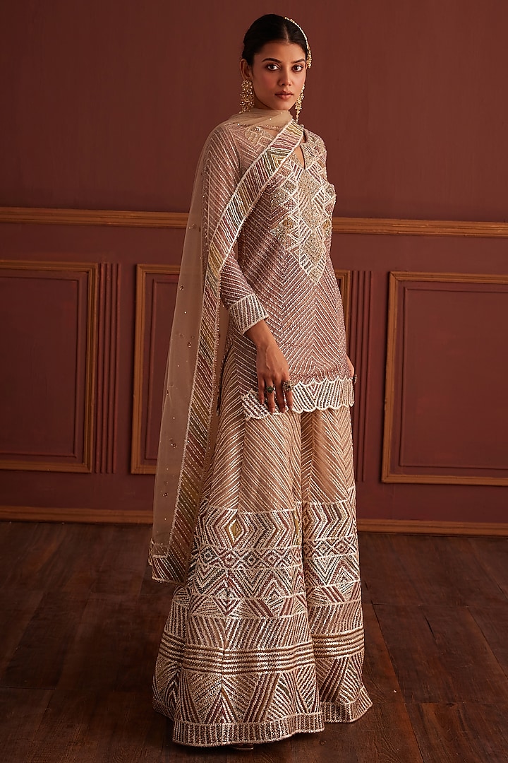 Multi-Colored Net Cutdana Embellished Sharara Set by Anjanaa M Dang at Pernia's Pop Up Shop