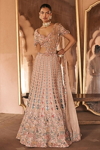 Multi-Colored Silk Tissue Sequin & Floral Embroidered Lehenga Saree Set by Anjanaa M Dang