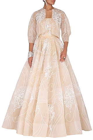 Beige Embroidered Ball Gown by AMIT GT