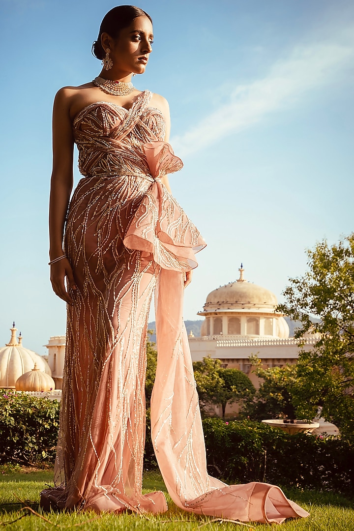 Rosewood Embroidered Tulle Gown by AMIT GT