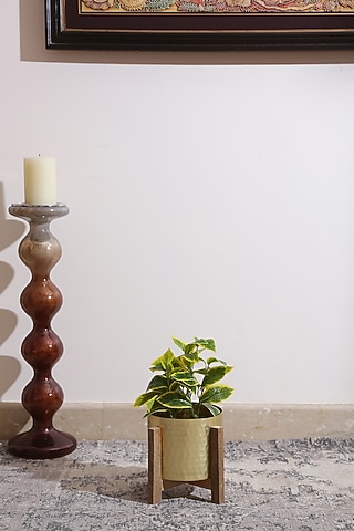Matt Gold Planter With Wooden Stand by Amoliconcepts