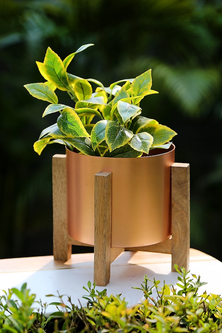 Copper Planter In Iron & Wood by Amoliconcepts