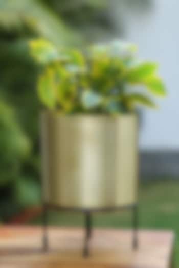 Matte Gold Finished Planter With Stand by Amoliconcepts