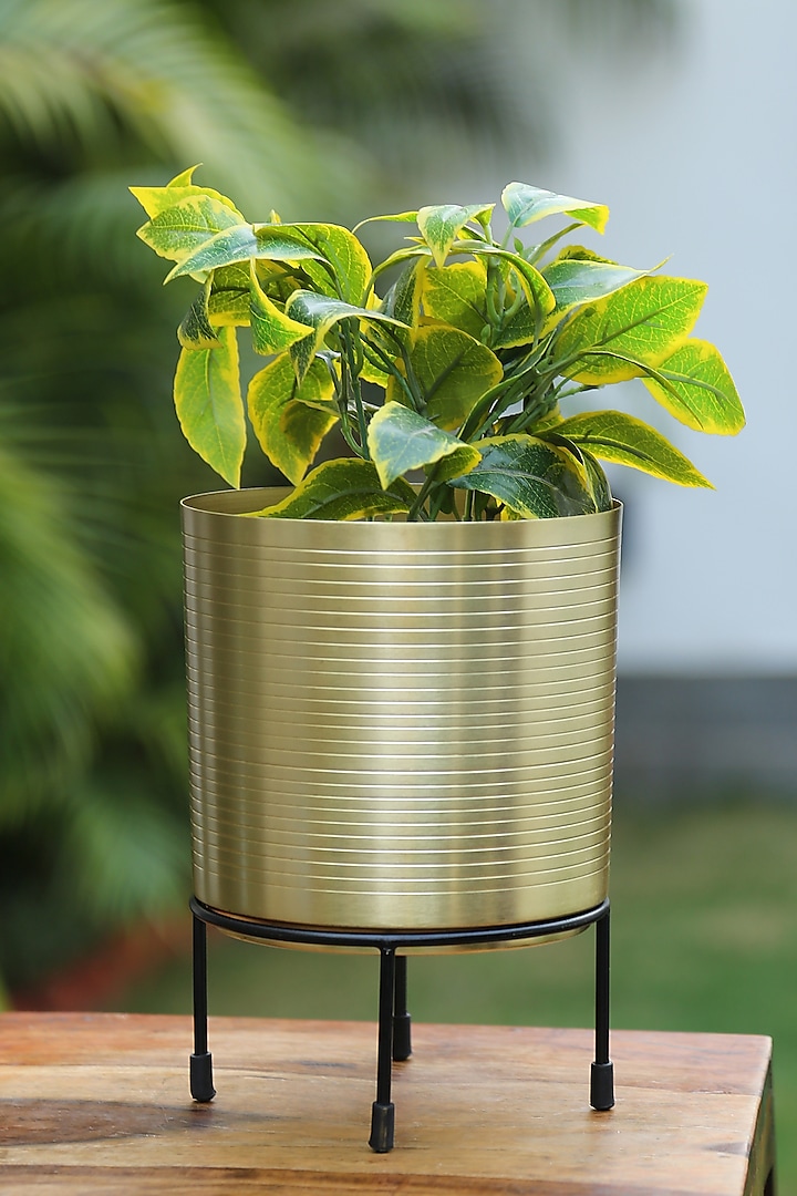 Matte Gold Finished Planter With Stand by Amoliconcepts