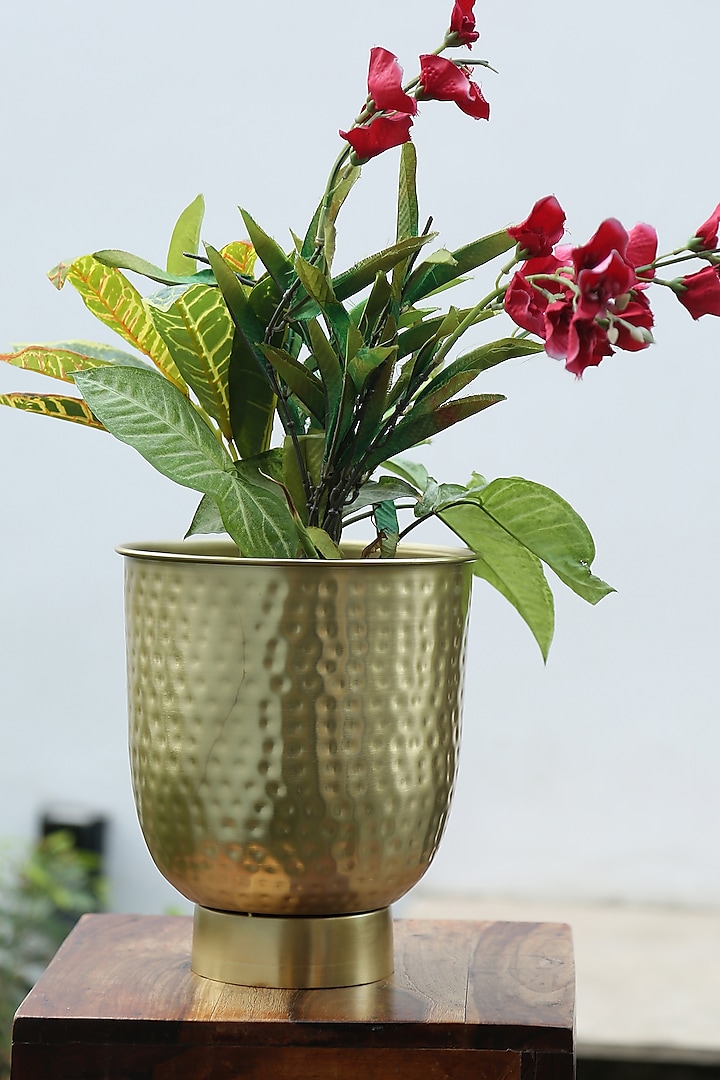 Matte Gold Finished Planter Bucket by Amoliconcepts
