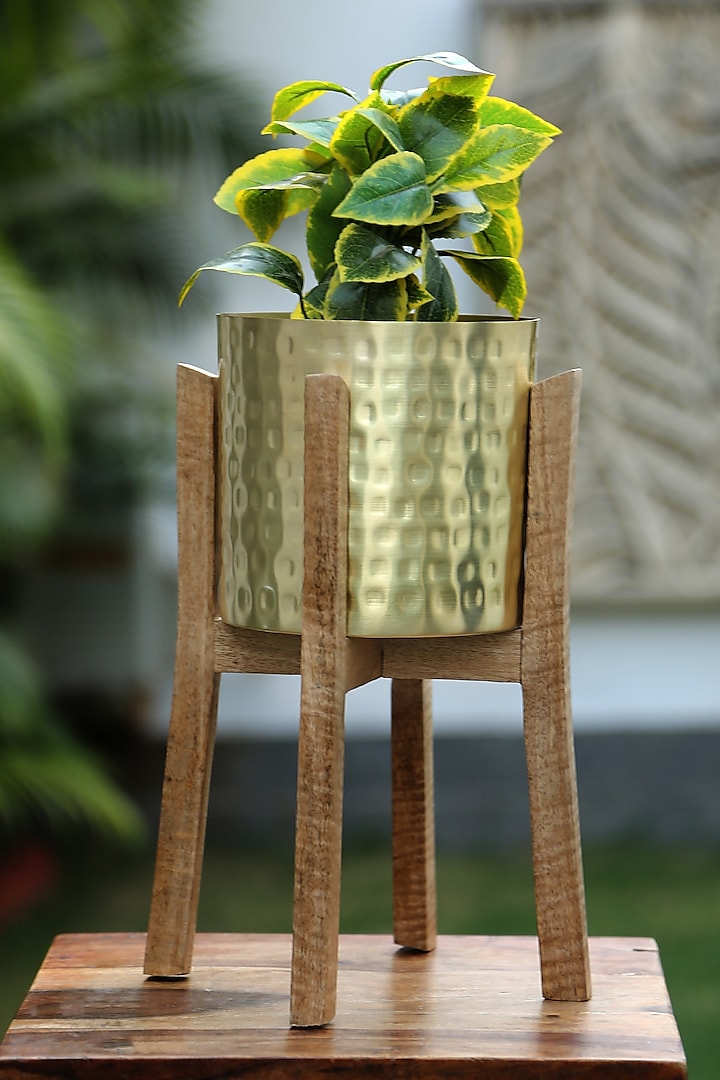 Gold Finished Planter With Wooden Stand by Amoliconcepts
