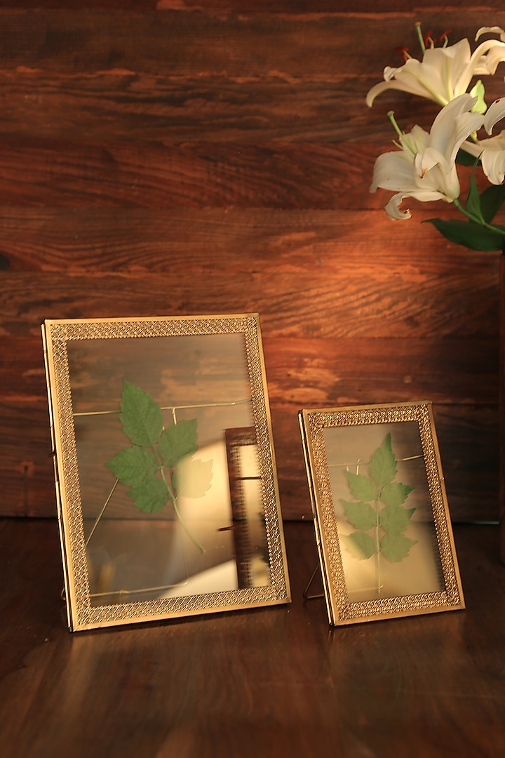 Antique Gold Photo Frame (Set of 2) by Amoliconcepts