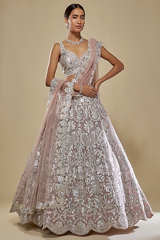Taupe & Silver Organza Embroidered Lehenga Set by Aneesh Agarwaal