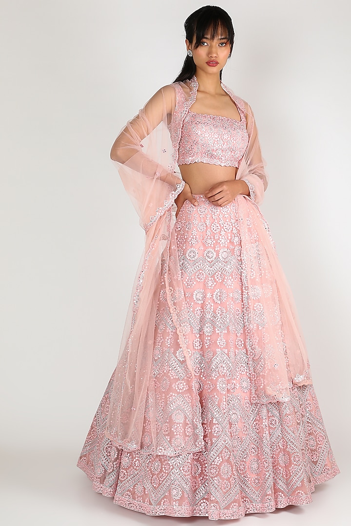 Blush Pink Embroidered Lehenga Set by Aneesh Agarwaal
