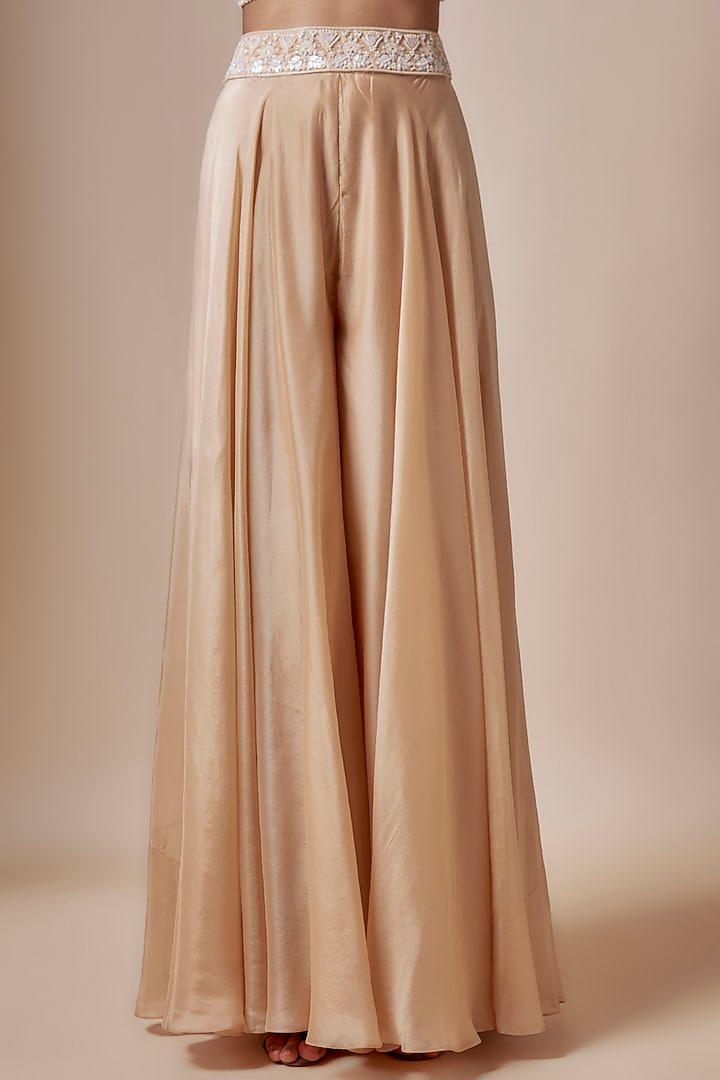 Beige Gold Organza Cutdana Hand Embroidered Jacket Set by Aneesh Agarwaal at Pernia's Pop Up Shop