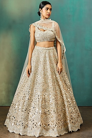 Beige-Gold Organza Embroidered Lehenga Set by Aneesh Agarwaal