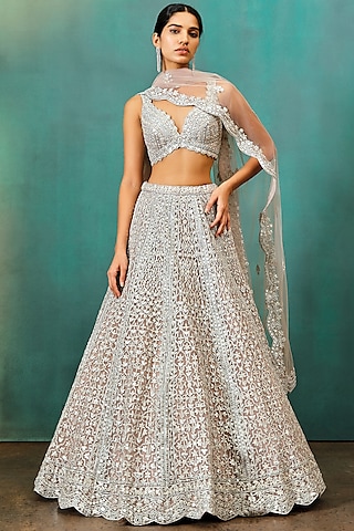 Taupe Net Zari Embroidered Lehenga Set by Aneesh Agarwaal