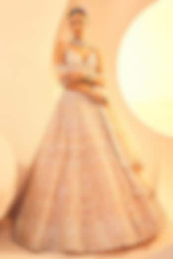 Peach Tulle Mirror & Zari Embroidered Lehenga Set by Aneesh Agarwaal