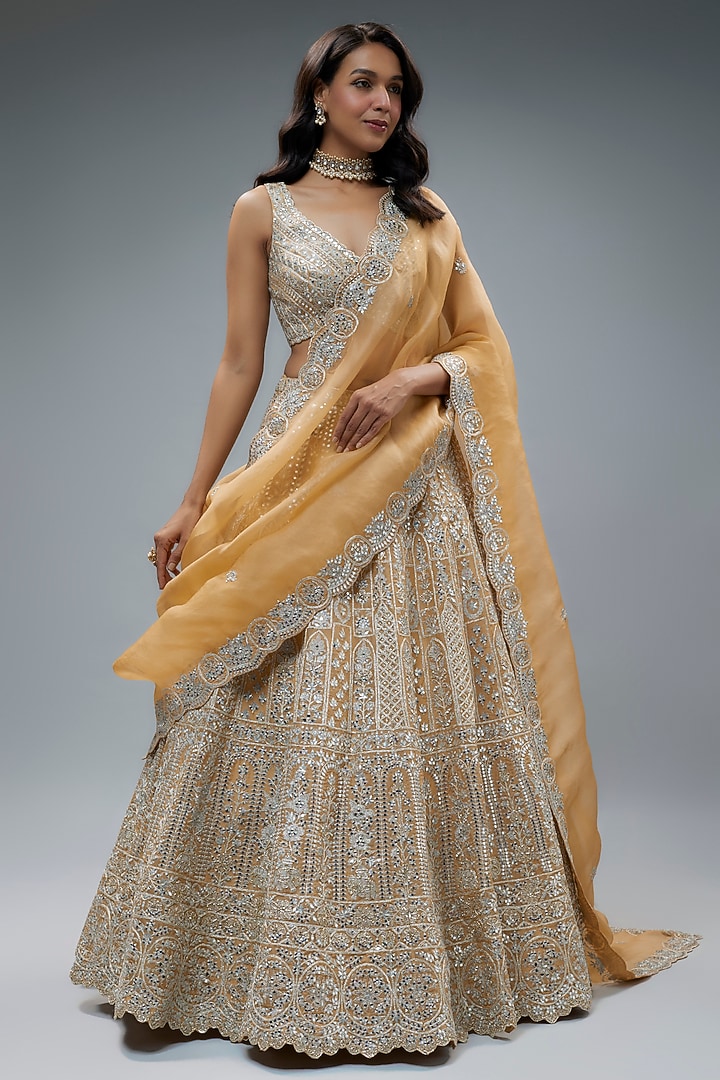 Champagne Organza Embroidered Bridal Lehenga Set by Aneesh Agarwaal at Pernia's Pop Up Shop