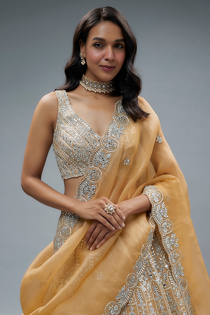 Champagne Organza Embroidered Bridal Lehenga Set by Aneesh Agarwaal at Pernia's Pop Up Shop