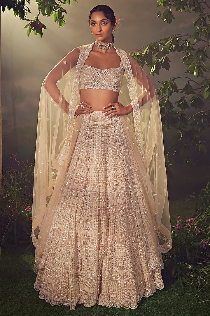Blush-Ivory Tulle Hand Embroidered Lehenga Set by Aneesh Agarwaal