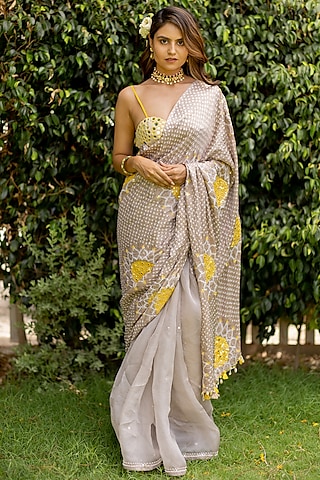 Chikoo Embroidered Saree Set by Anjana Bohra