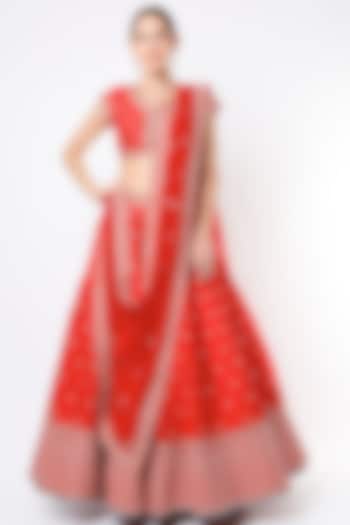 Red Hand Embroidered Lehenga Set by Anita Dongre