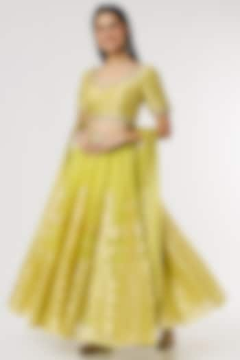 Lime Silk Lehenga Set by Anita Dongre