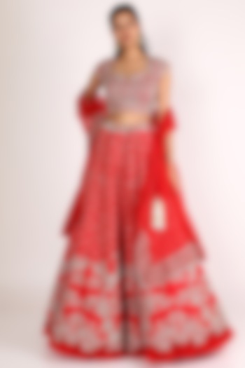 Red Embroidered Lehenga Set by Anushree Reddy