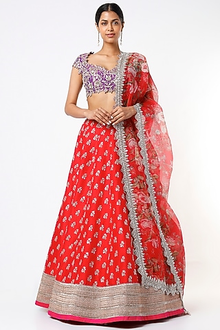 Red Embroidered Lehenga Set by Anushree Reddy