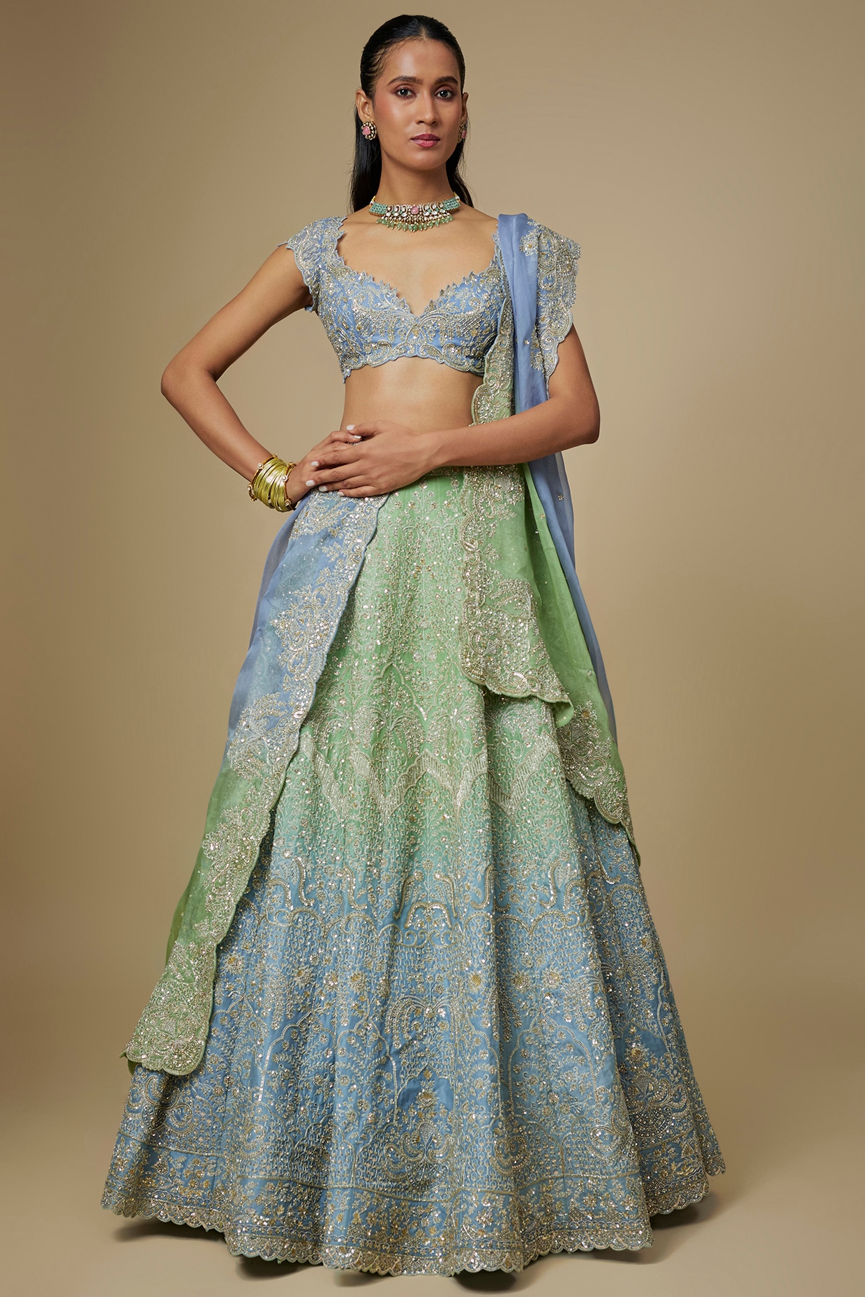 Anushree Reddy Green-Blue Ombre Organza Hand Embroidered Lehenga Set