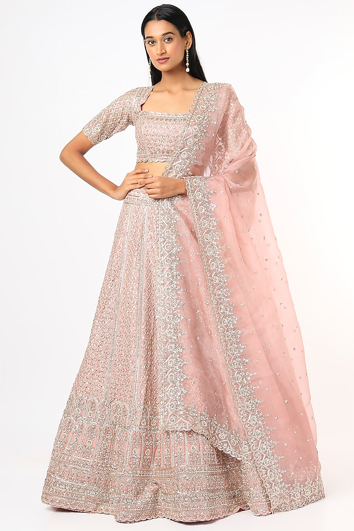 Pastel Pink Embroidered Lehenga Set by Anushree Reddy