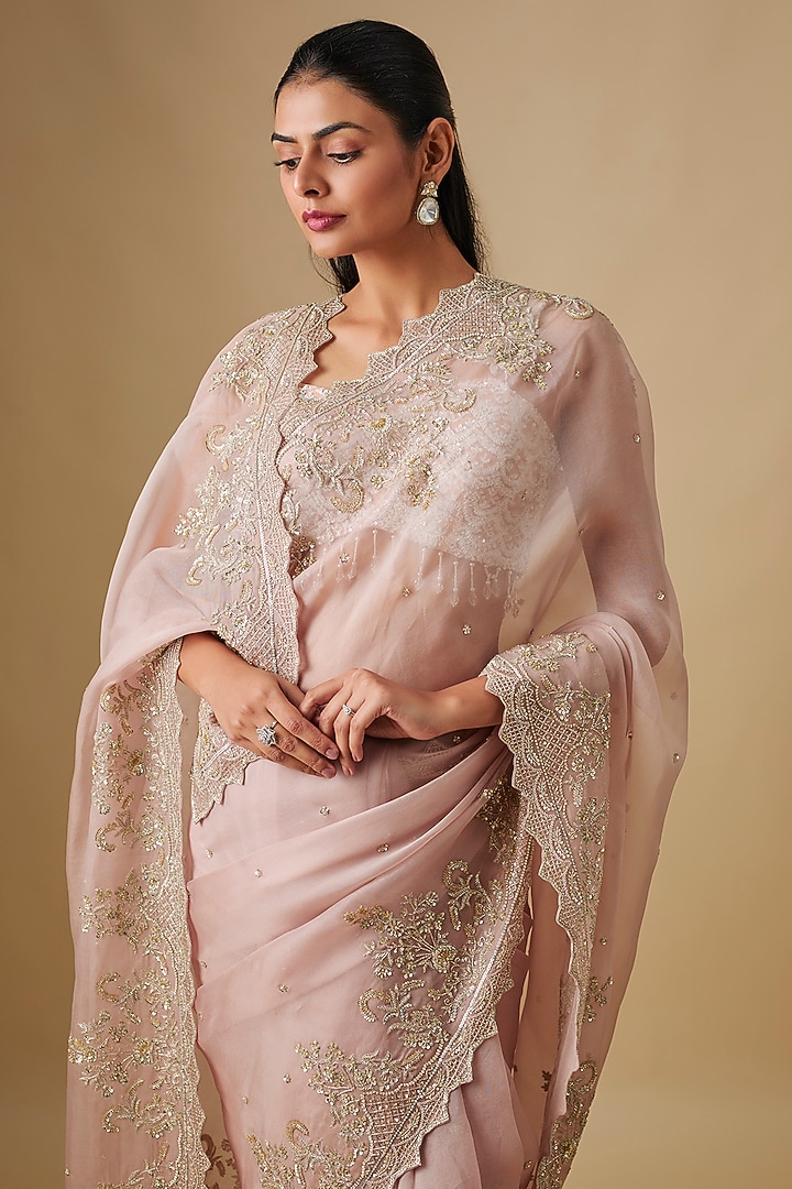 Champagne Organza Bridal Saree Set by Anushree Reddy at Pernia's Pop Up Shop