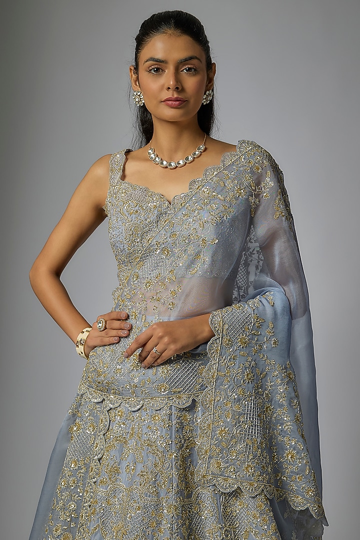 Sky Blue Organza Hand Embroidered Bridal Lehenga Set by Anushree Reddy at Pernia's Pop Up Shop