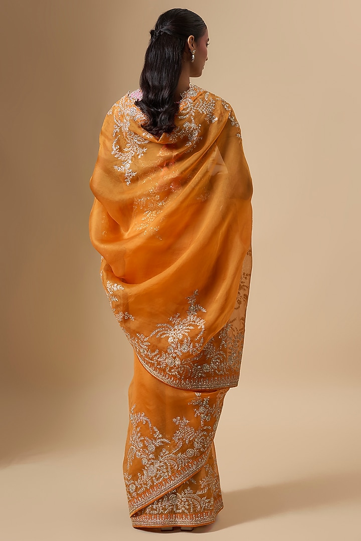 Orange Organza Aari Embroidered Bridal Saree Set by Anushree Reddy at Pernia's Pop Up Shop