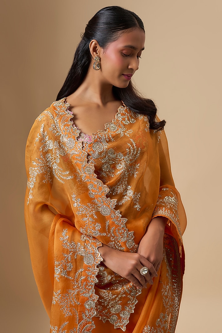 Orange Organza Aari Embroidered Bridal Saree Set by Anushree Reddy at Pernia's Pop Up Shop