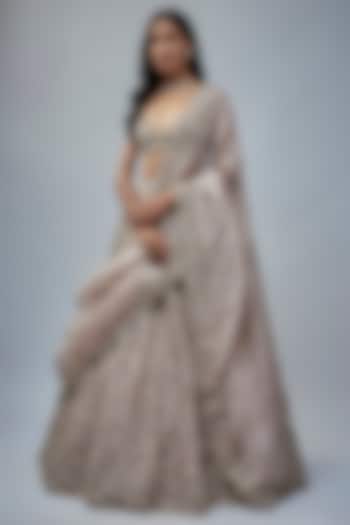 Champagne Organza Hand Embroidered Bridal Lehenga Set by Anushree Reddy at Pernia's Pop Up Shop