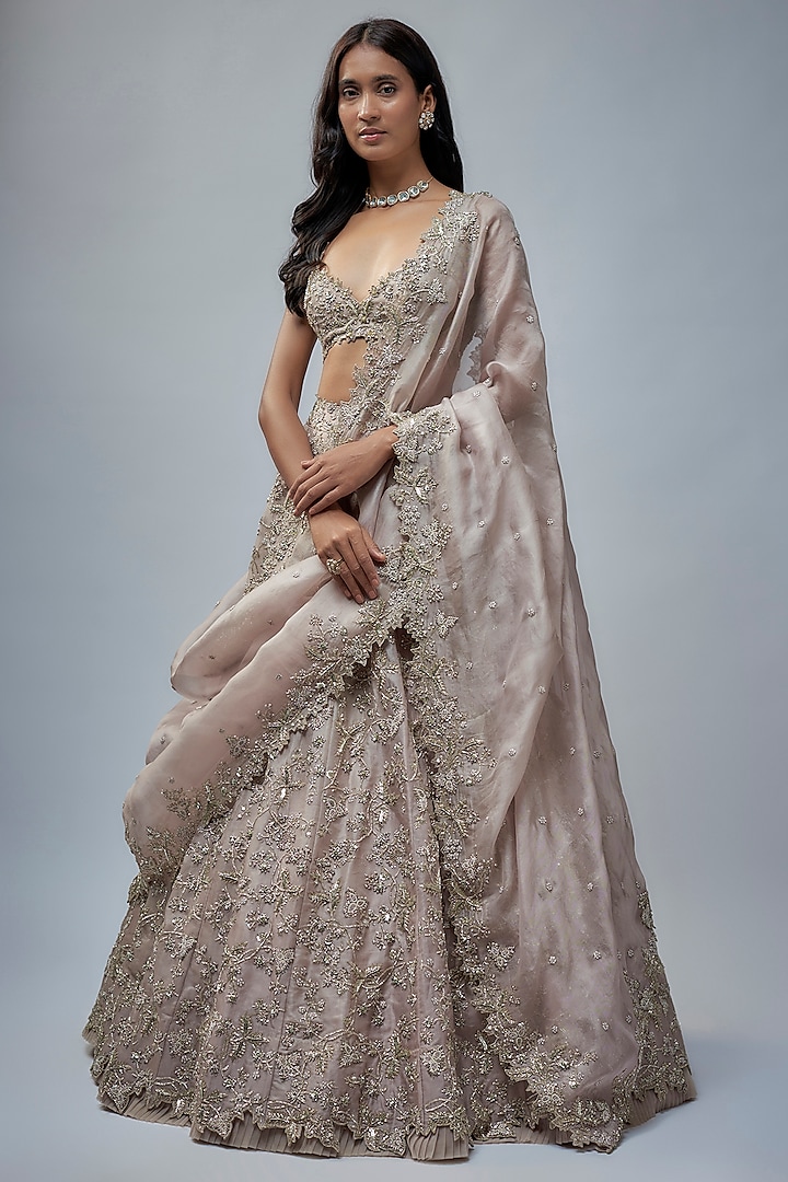Champagne Organza Hand Embroidered Bridal Lehenga Set by Anushree Reddy at Pernia's Pop Up Shop