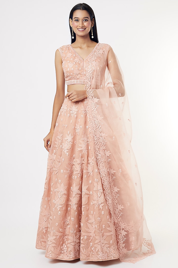 Blush Pink Embroidered Lehenga Set by Anita Dongre