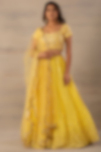 Yellow Embroidered Lehenga Set by Anupraas