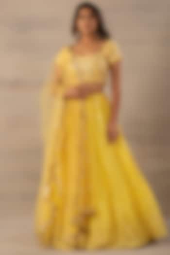 Yellow Embroidered Lehenga Set by Anupraas